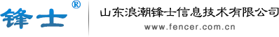 锋士信息技术 标识