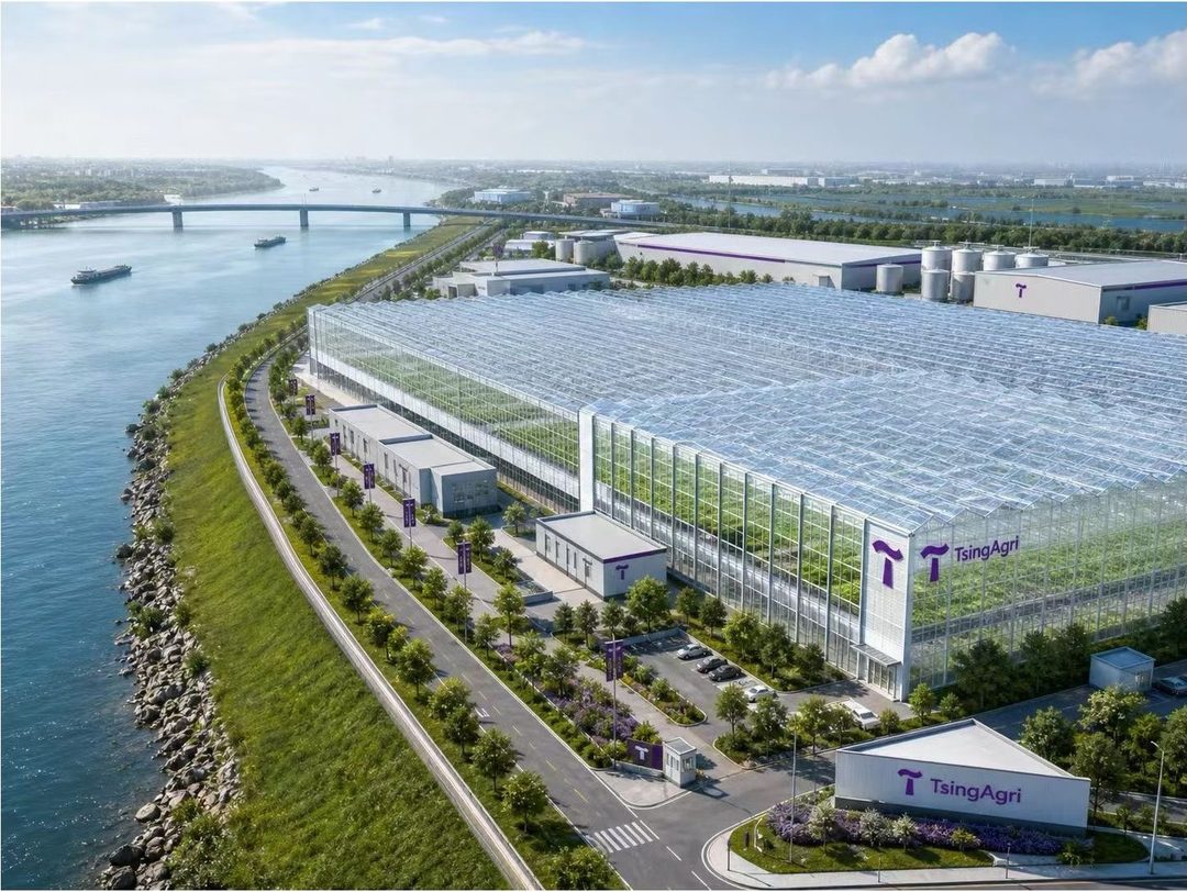 临江建设的大跨度连栋玻璃温室园区效果图