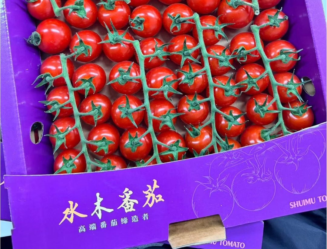 水木番茄礼盒装的串收小番茄，包装上印着「高端番茄缔造者」